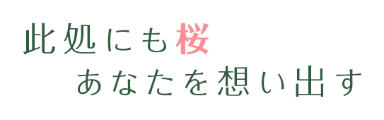 此処にも桜、あなたいを想い出す